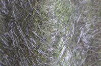 Waterloo Port fibreglass roof work